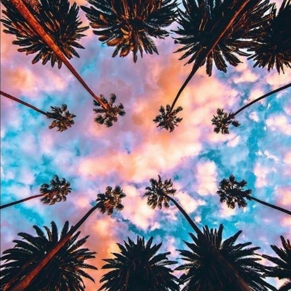 🌈🌈🌈🌈🌈🌈🌈🌈